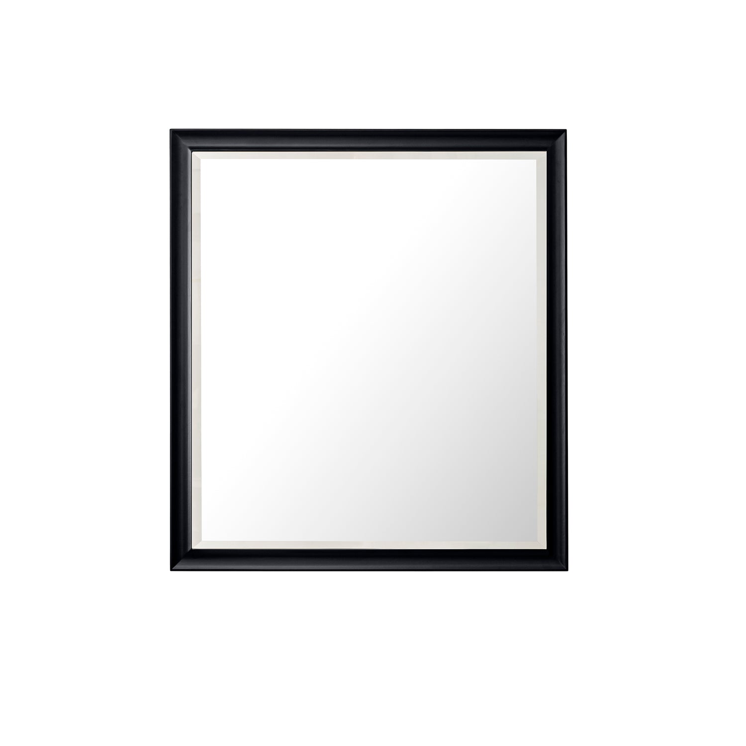 James Martin Brookfield 48" Single Vanity, Black Onyx with 3 CM Countertop Optional Accessory