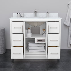 Wyndham Icon 42 Inch Single Bathroom Vanity No Countertop, No Sink in Brushed Nickel Trim - Luxe Bathroom Vanities